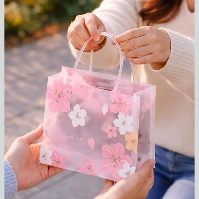Return Gift Carry Bag(Pack of 6)